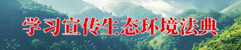 请您把要咨询的问题尽量描述清楚
