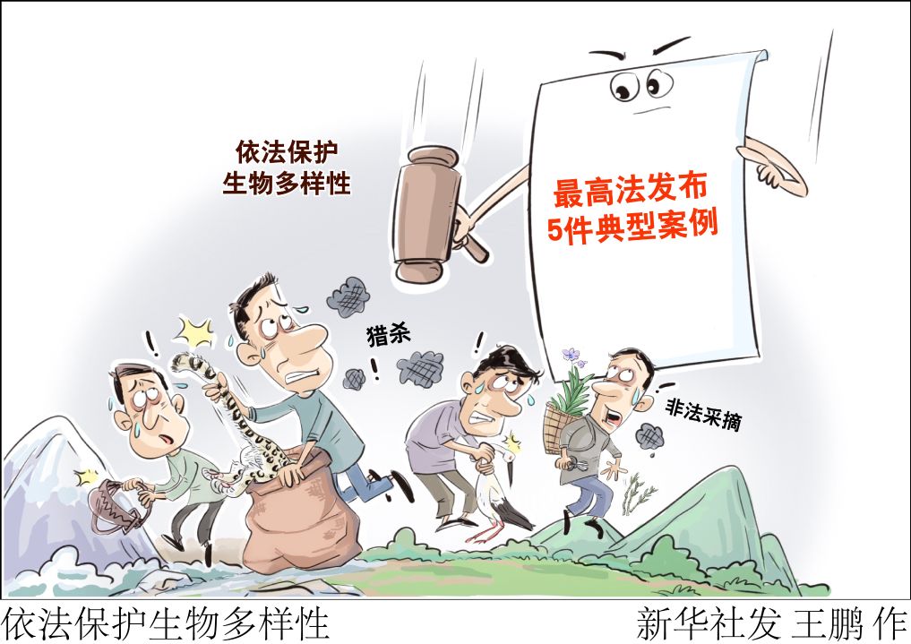 已有账号